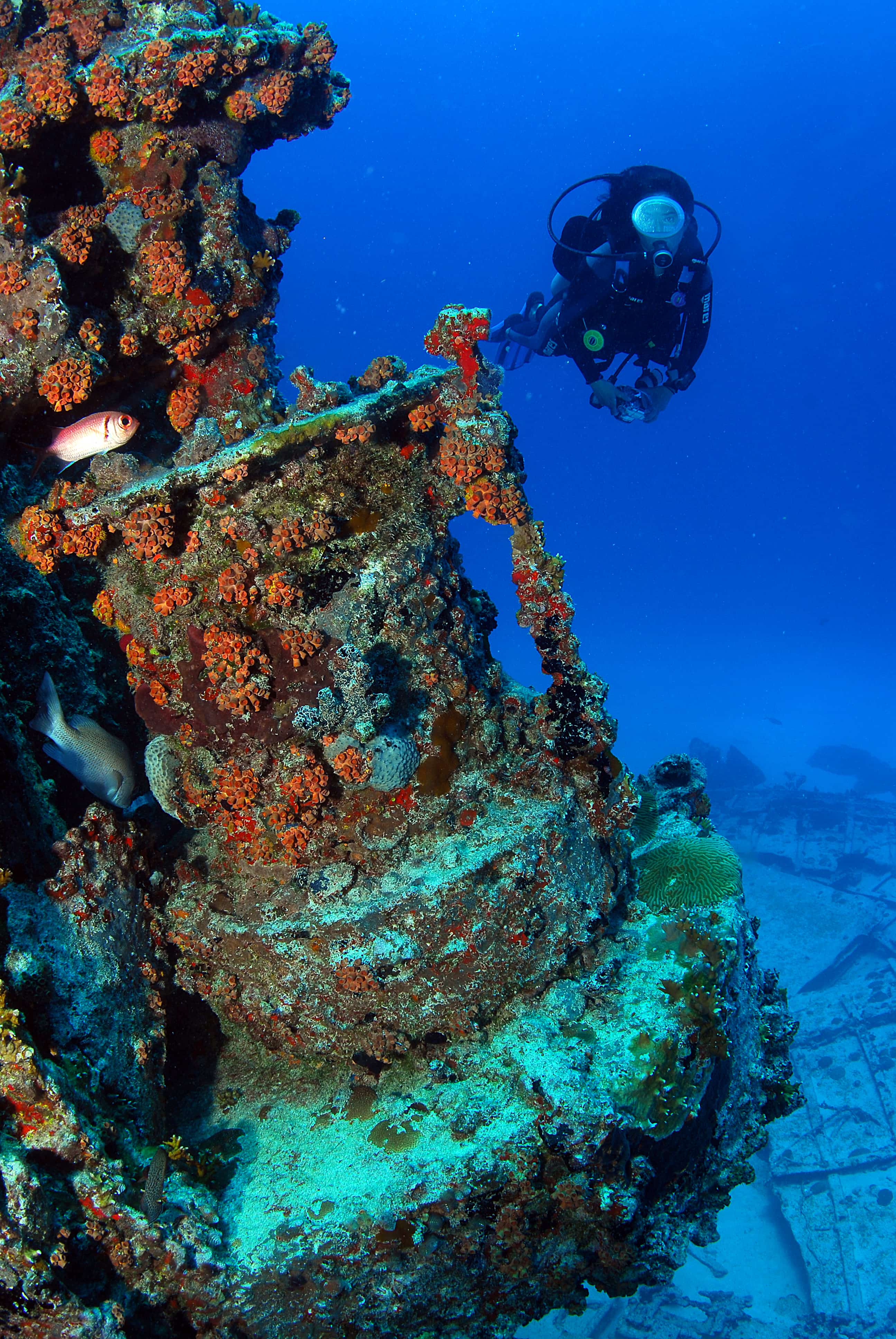 A scuba diver exploring the coral-covered RMS Rhone wreck in the British Virgin Islands